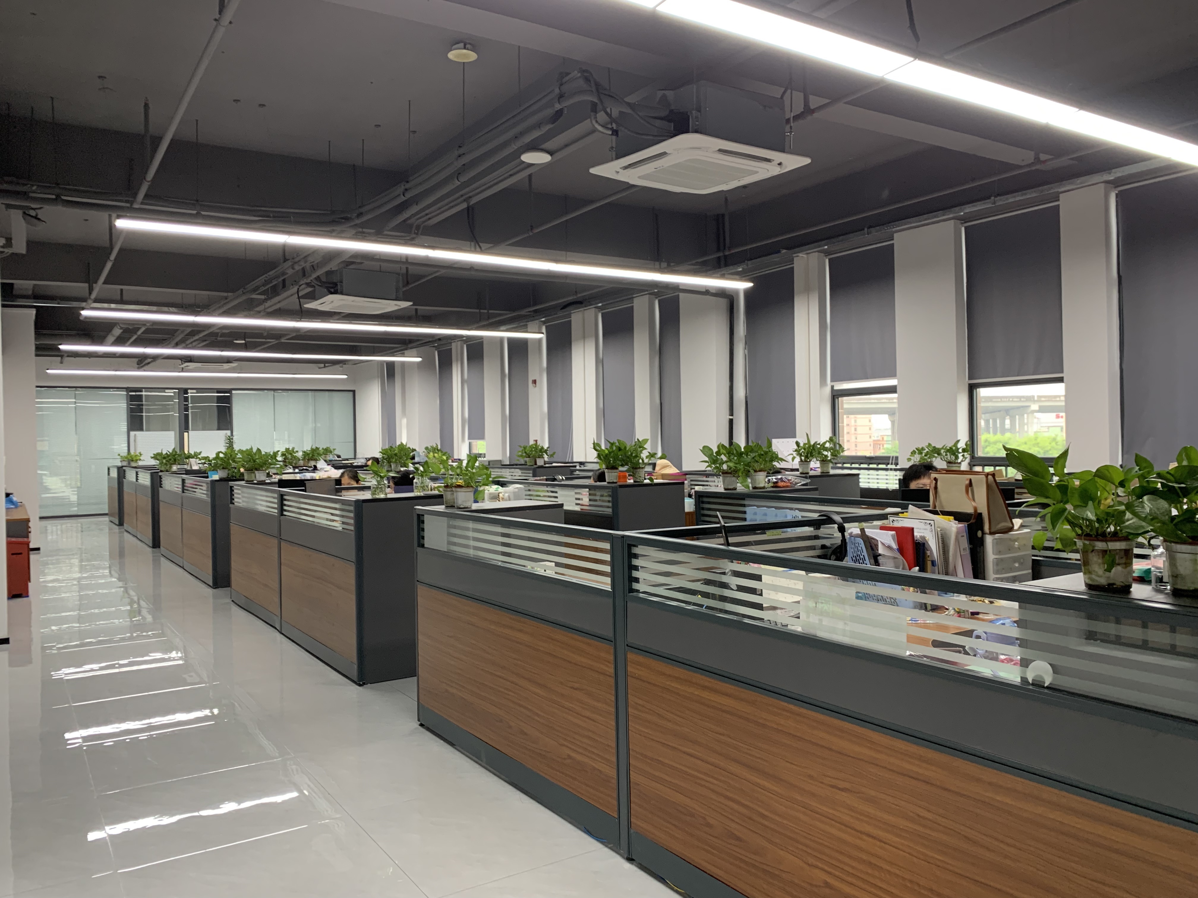 中国 RICHSTAR (SHENZHEN) LIMITED 会社概要