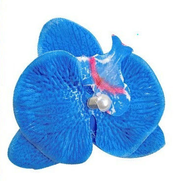 耐久 的 な 花 の ヘア クリップ と さまざまな 色 の 衣装
